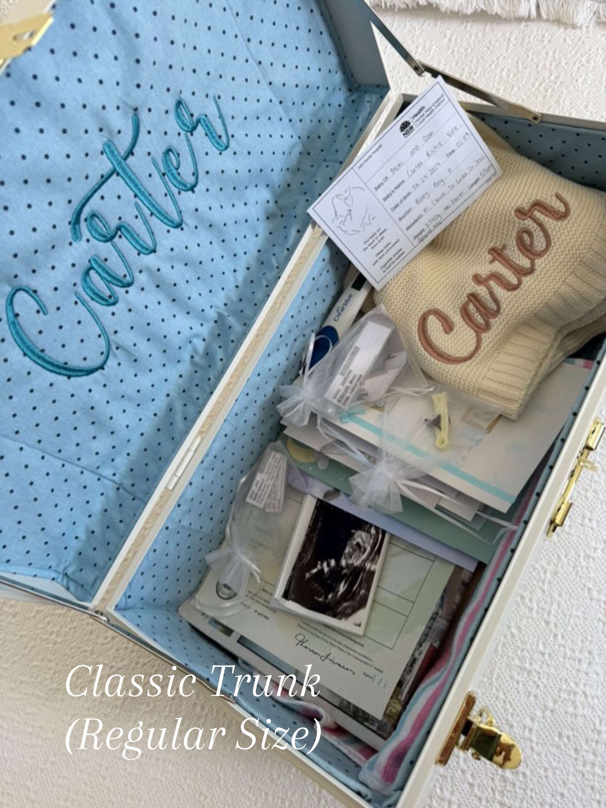 Classic Trunk (Regular Size)