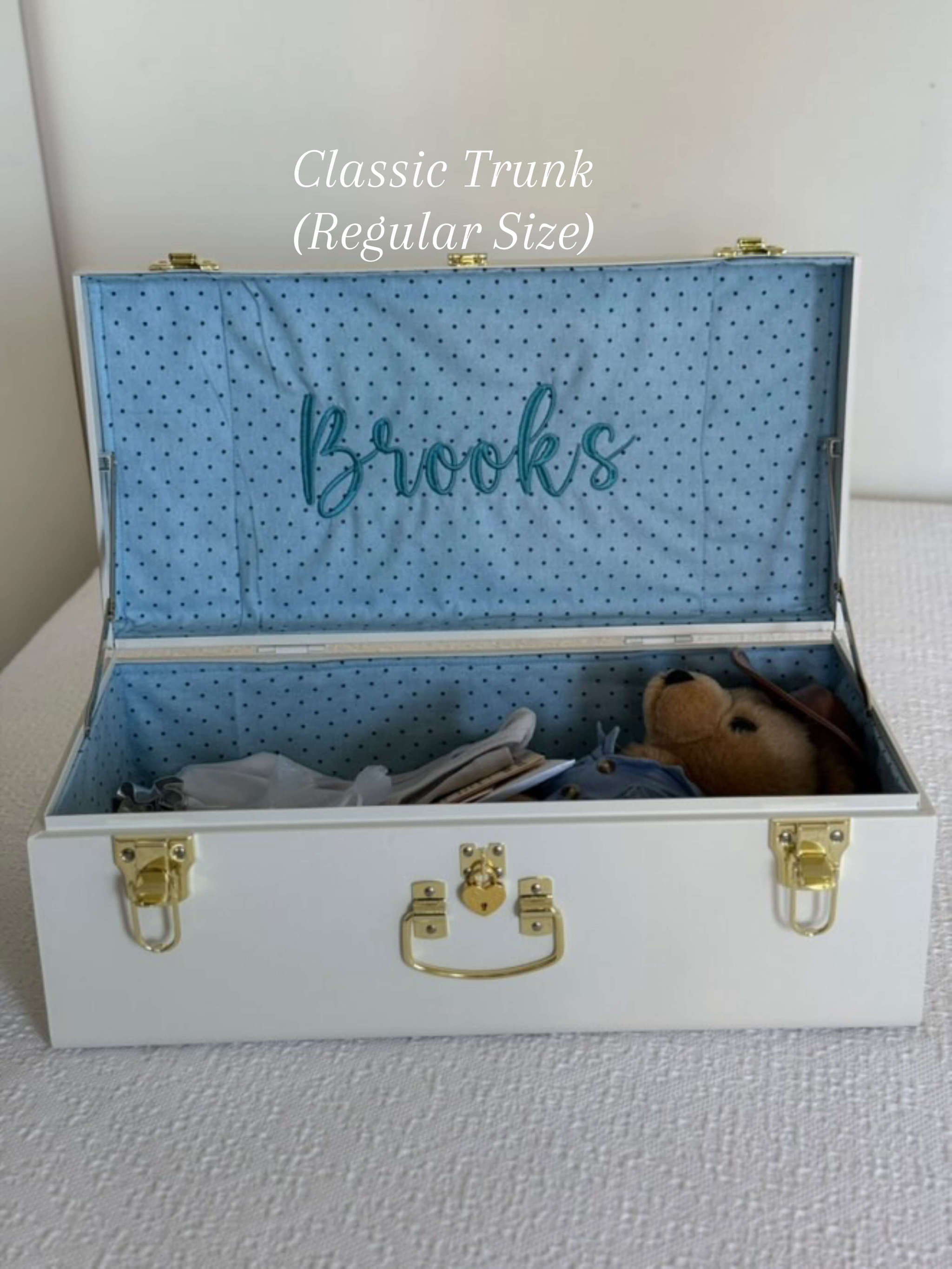 Classic Trunk (Regular Size)